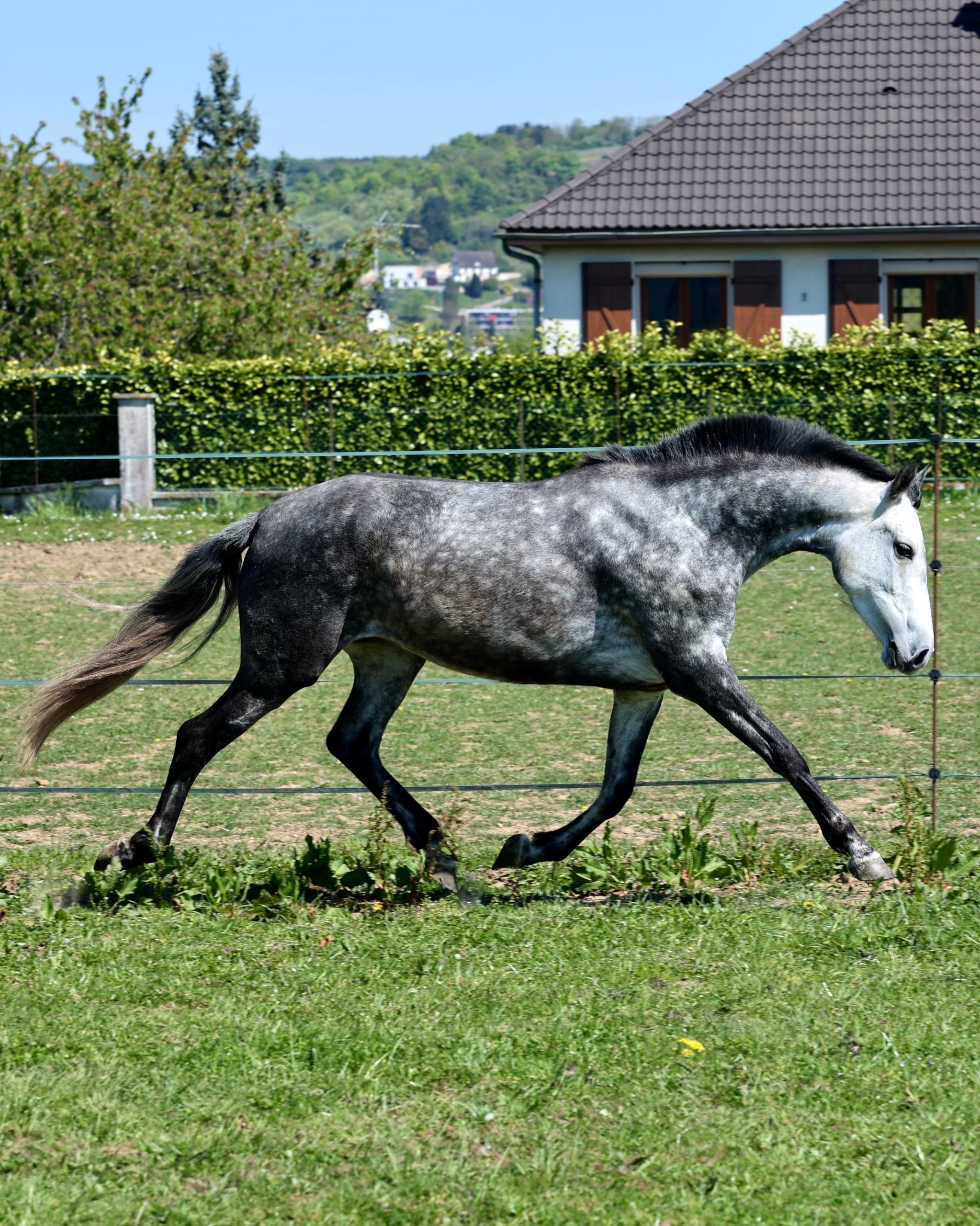 Leyenda du Corval - photo 3