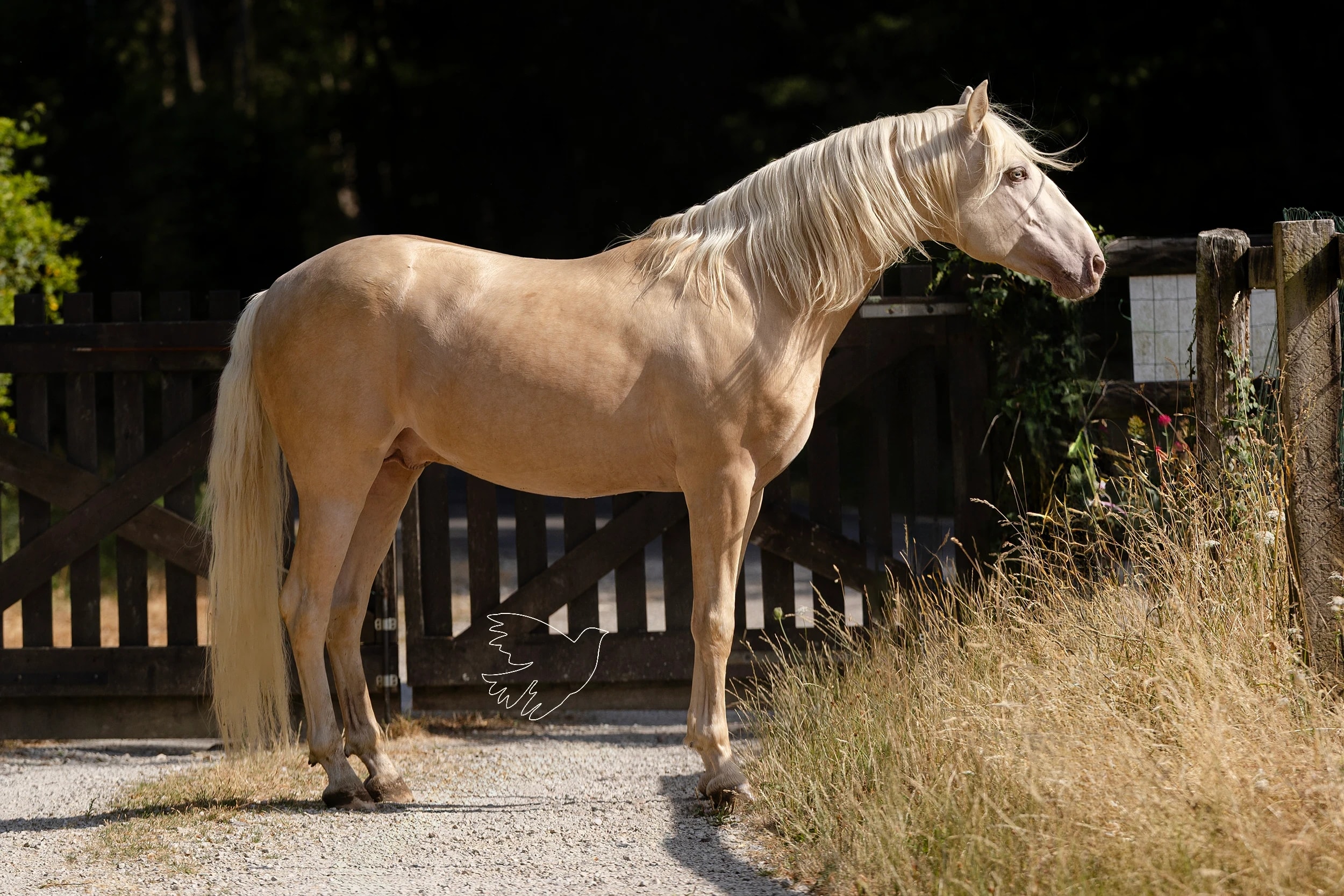 Poleo de LL - photo 3
