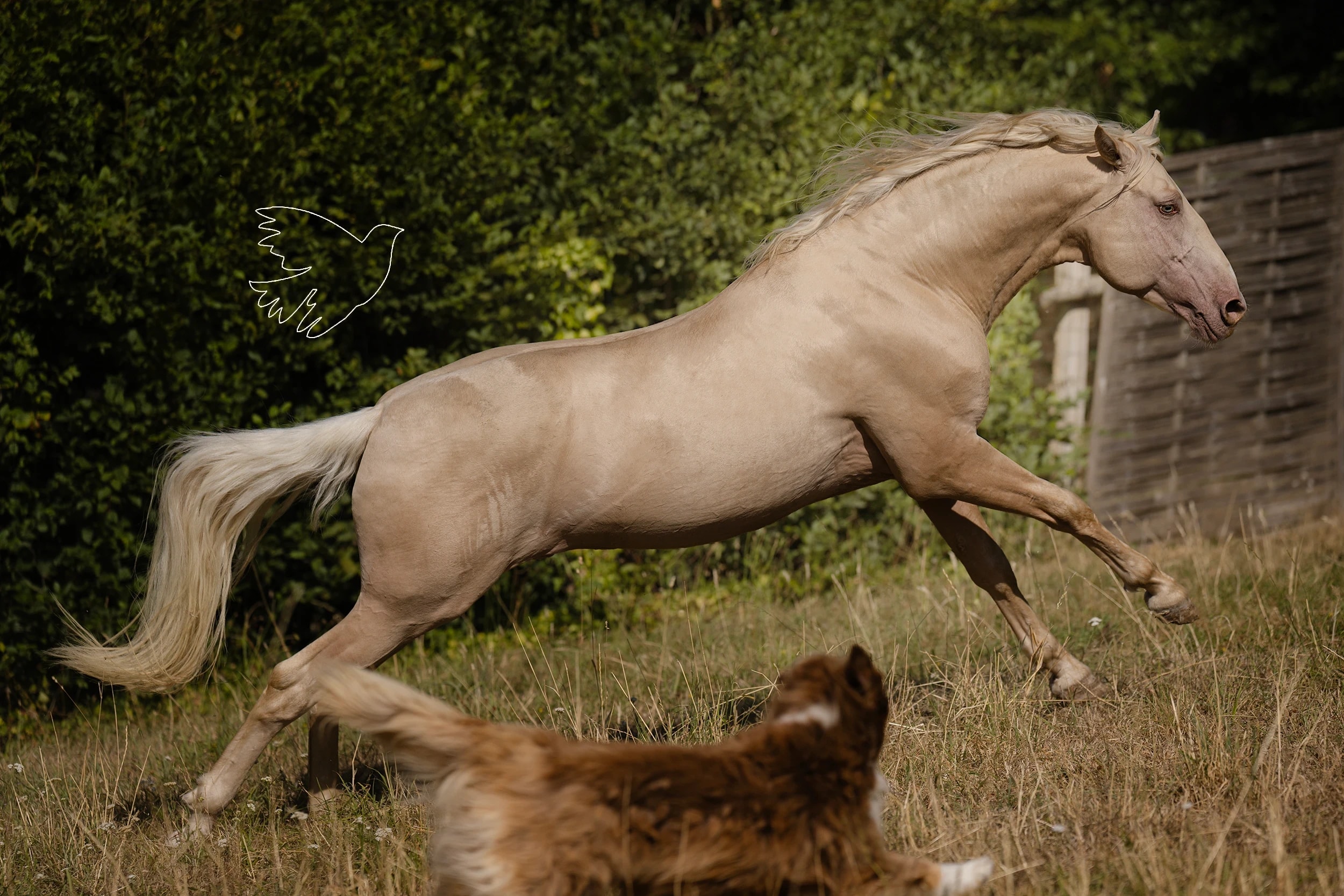 Poleo de LL - photo 9