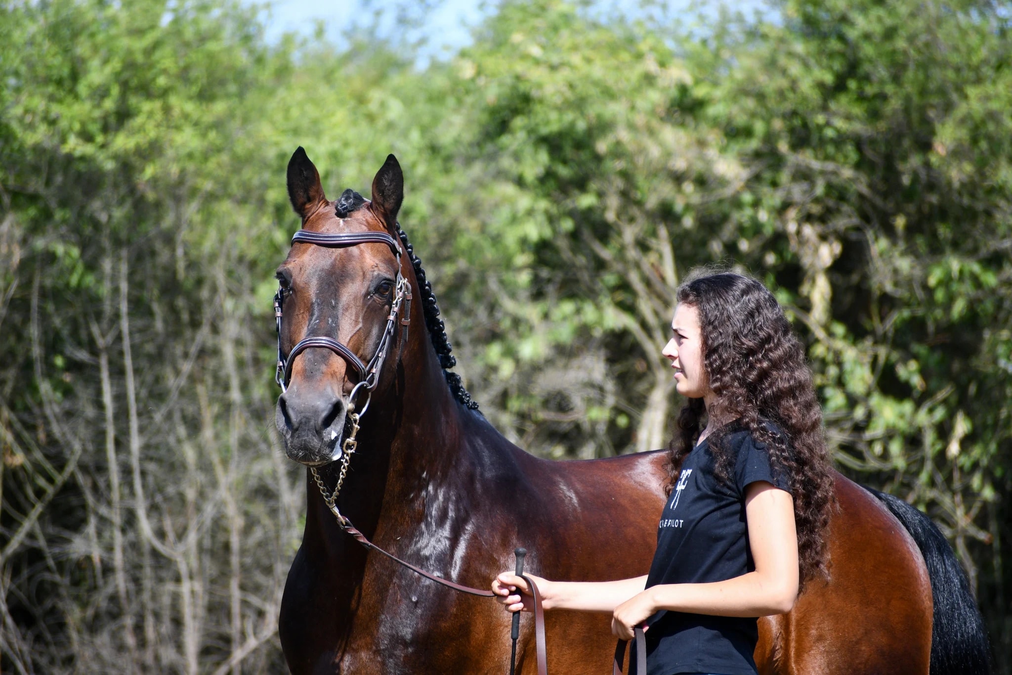 Vasco de Parentrie - photo 4