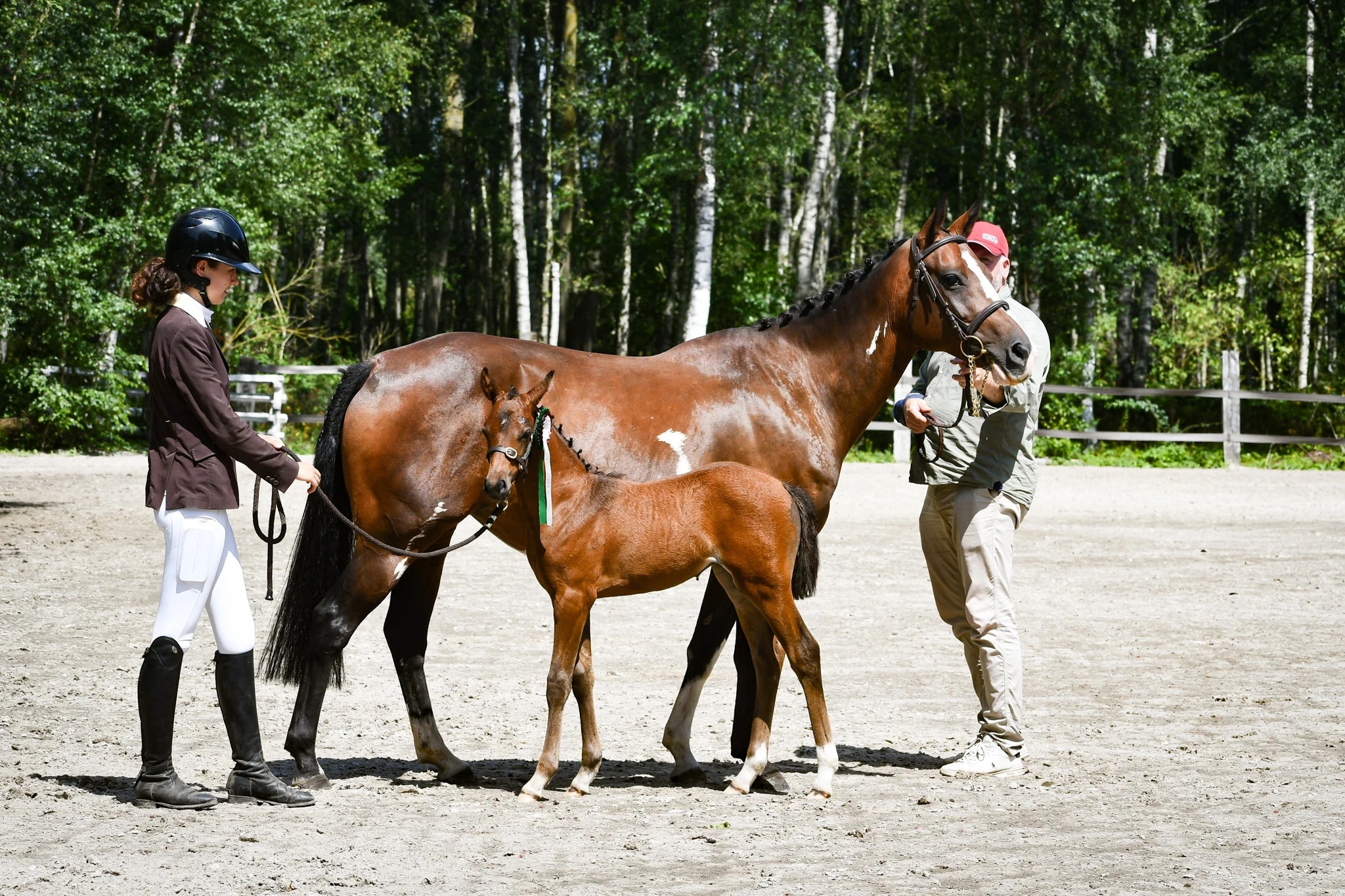 Piinkhina Marais d'Or