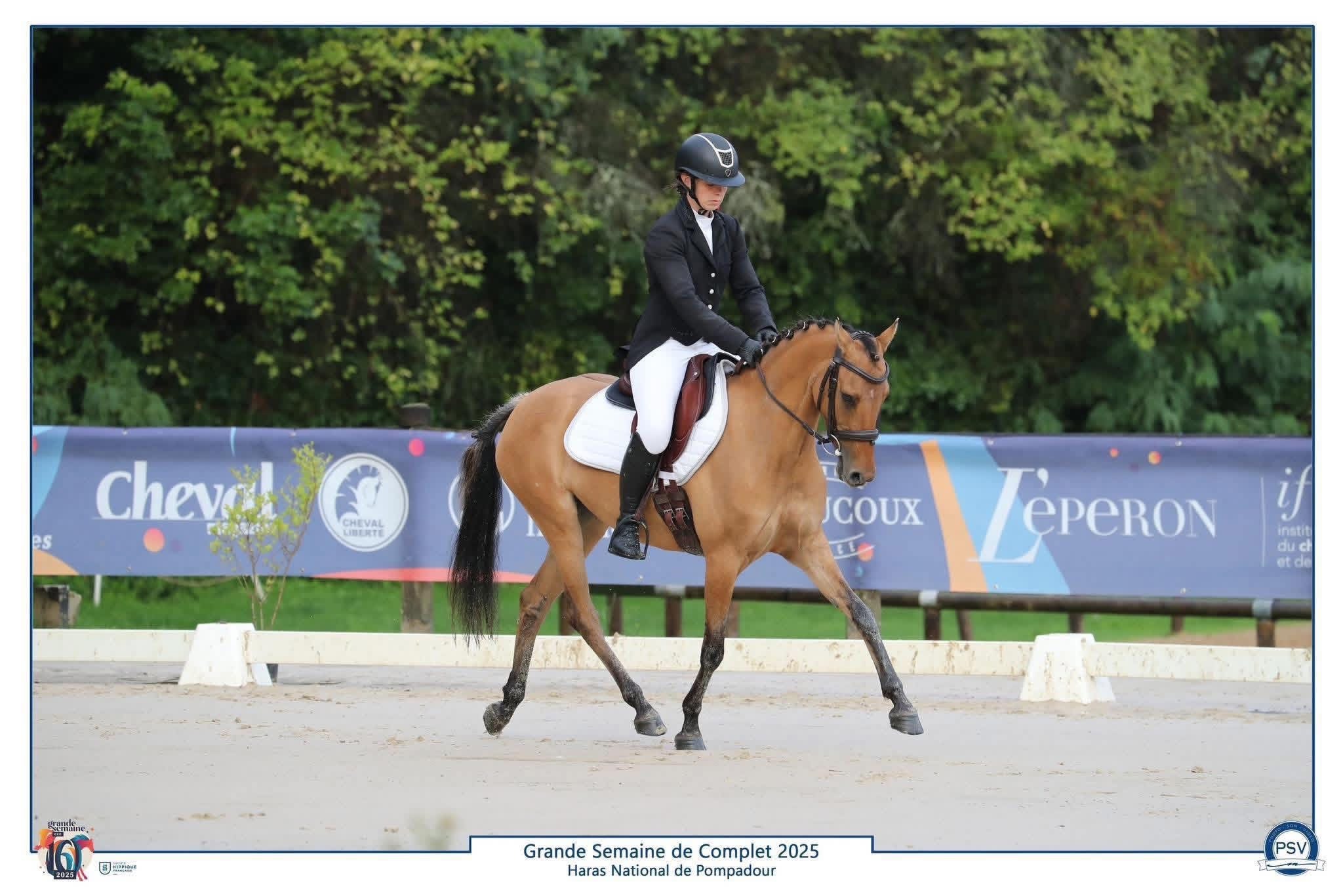 Haras d’Endhil