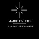 Logo Haras des Bruns - pur sang lusitaniens